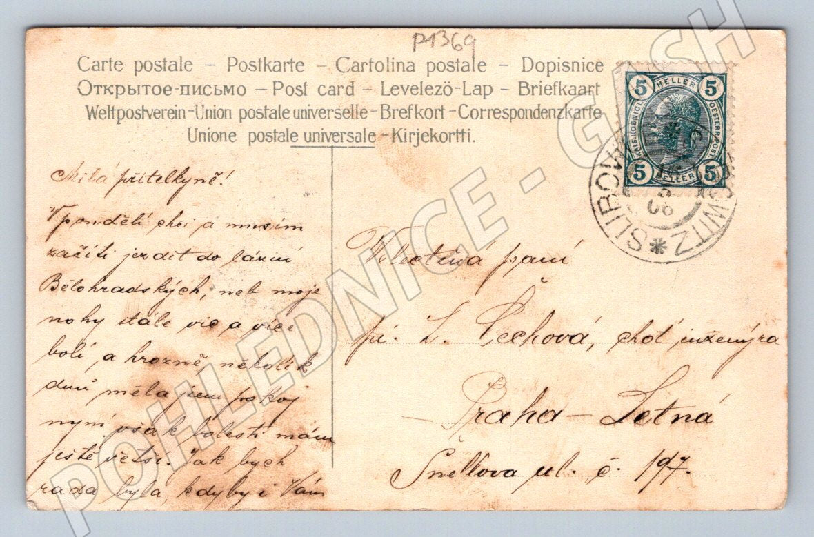 Pohlednice květiny malba psaná Rakousko Uhersko zn (P1369)