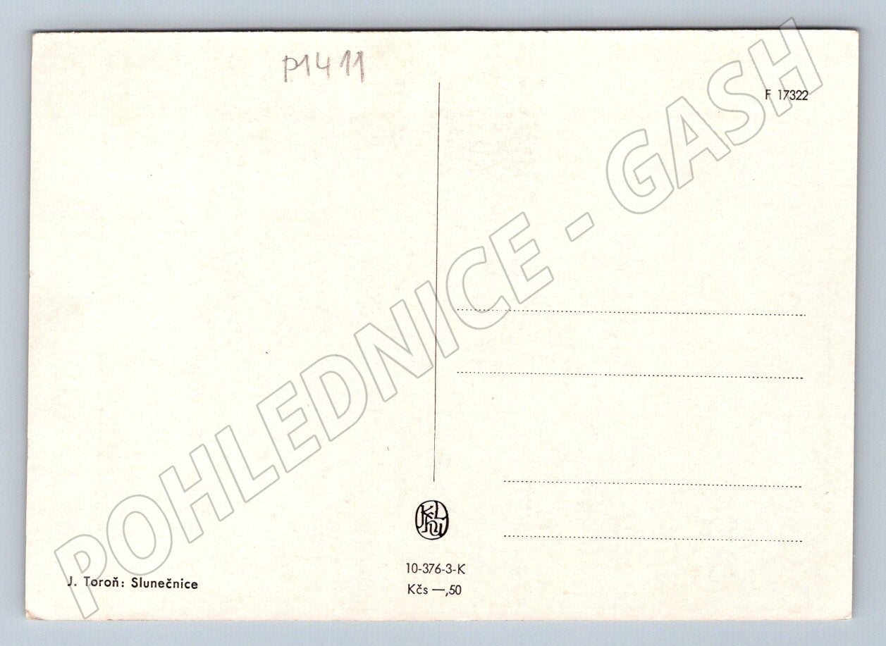 Postcard J Toroň Sunflower painting (P1411)