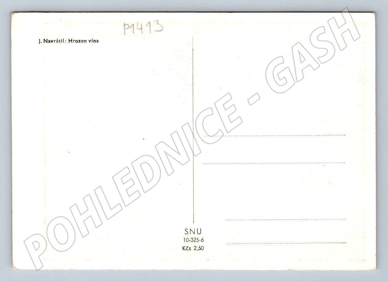 Postcard J Navrátil Grapes of Wine Painting (P1413)