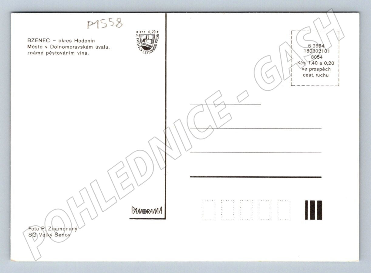 Pohlednice Bzenec zámek město myslivna Morava (P1558)