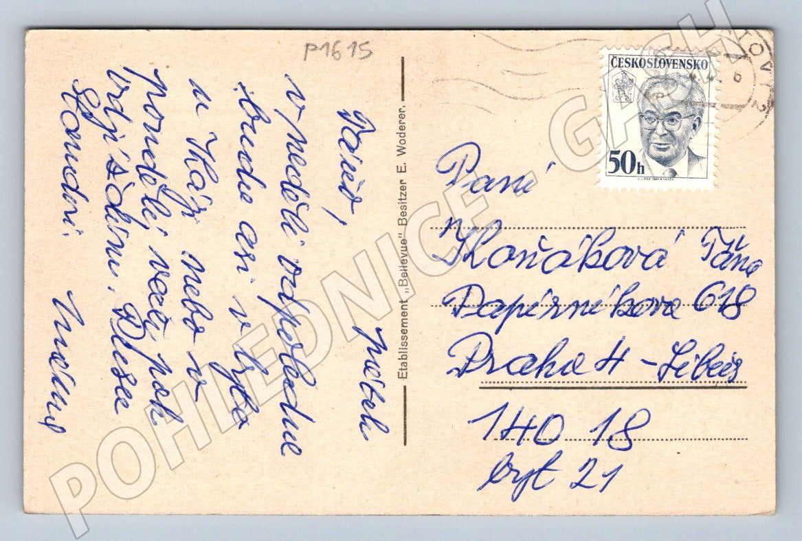 Pohlednice Mariánské Lázně Établissement Bellevue (P1615)