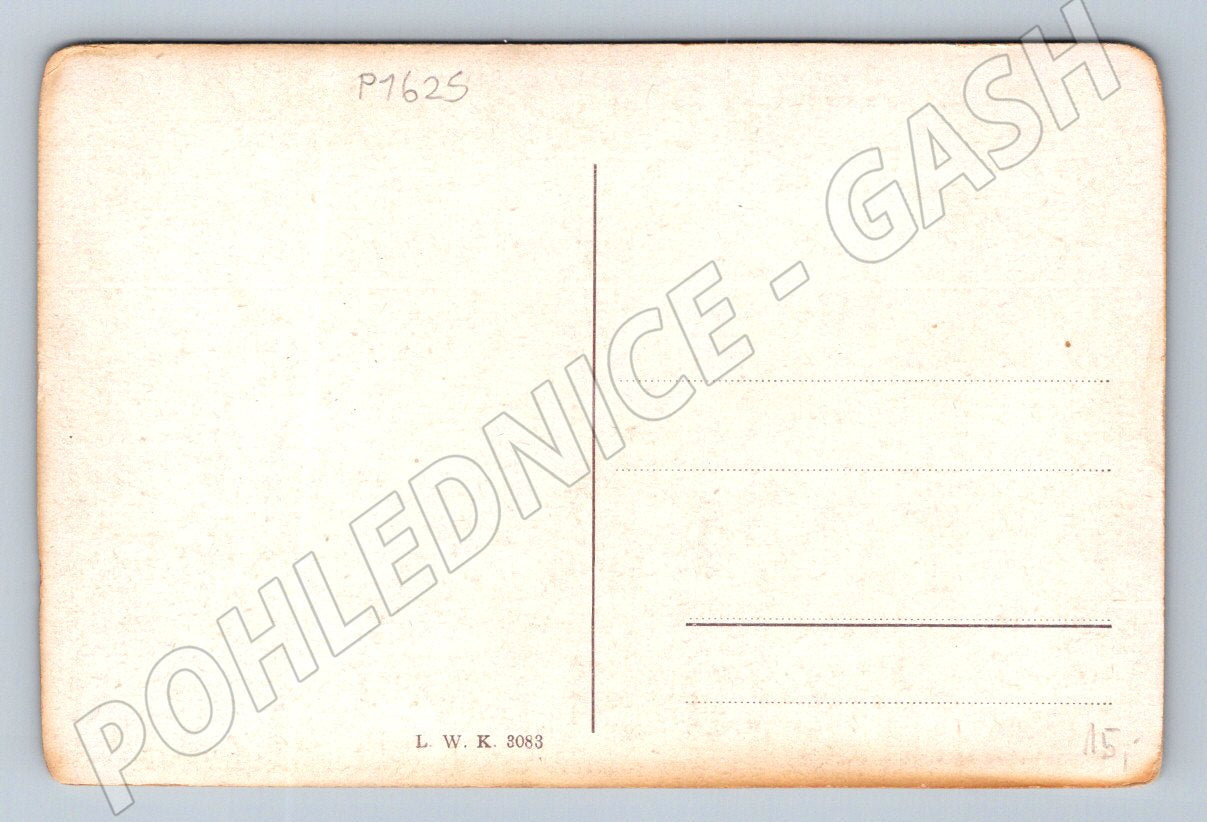 Postcard Karlovy Vary Karlsbad Schlossberg (P1625)