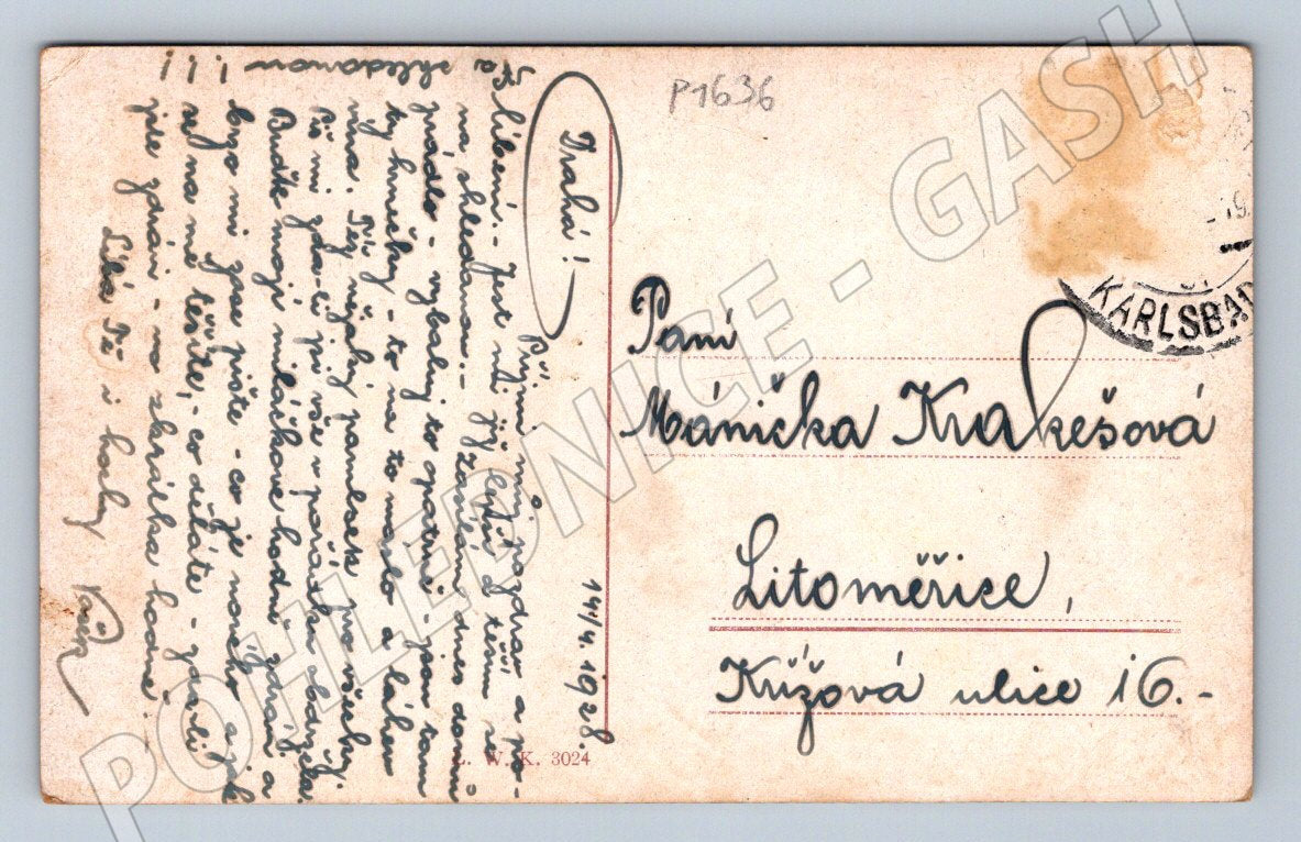 Postcard Karlovy Vary Deer Jump general view Pupp café (P1636)