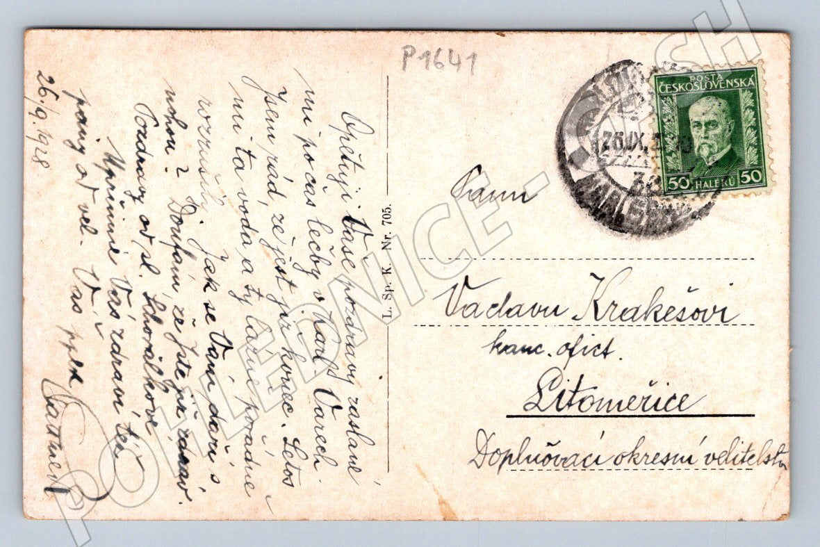 Pohlednice Karlovy Vary Karlobad trh a kolonáda 1928 (P1641)