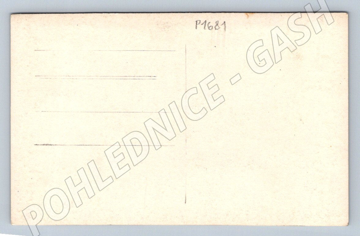 Postcard Pilsen Jiráskův vrch Kostincova cottage and lookout tower (P1681)