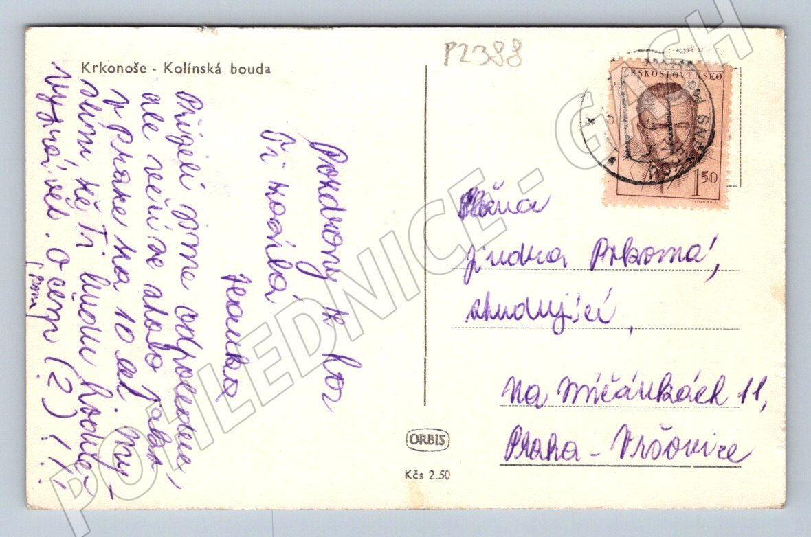 Pohlednice Krkonoše Kolínská bouda (P2388)