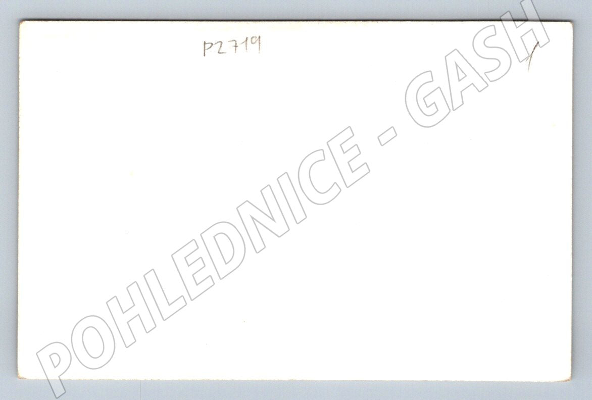 Postcard castle above the town B&W (P2719)