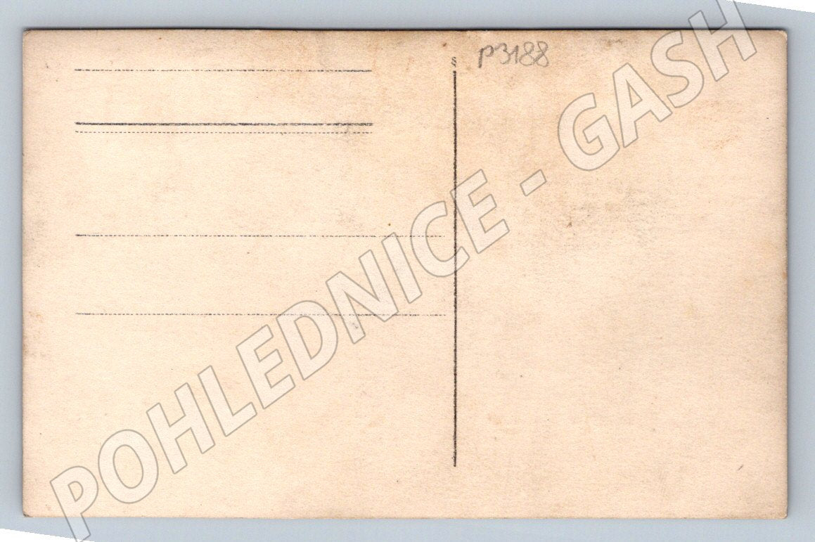 Pohlednice svatební pár (P3188)