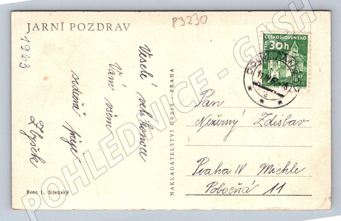 Pohlednice ovce s jehňaty 1963 (P3230)