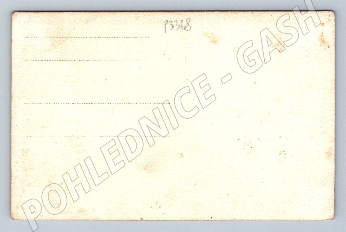 Stará fotografie žena v kroji (P3368)