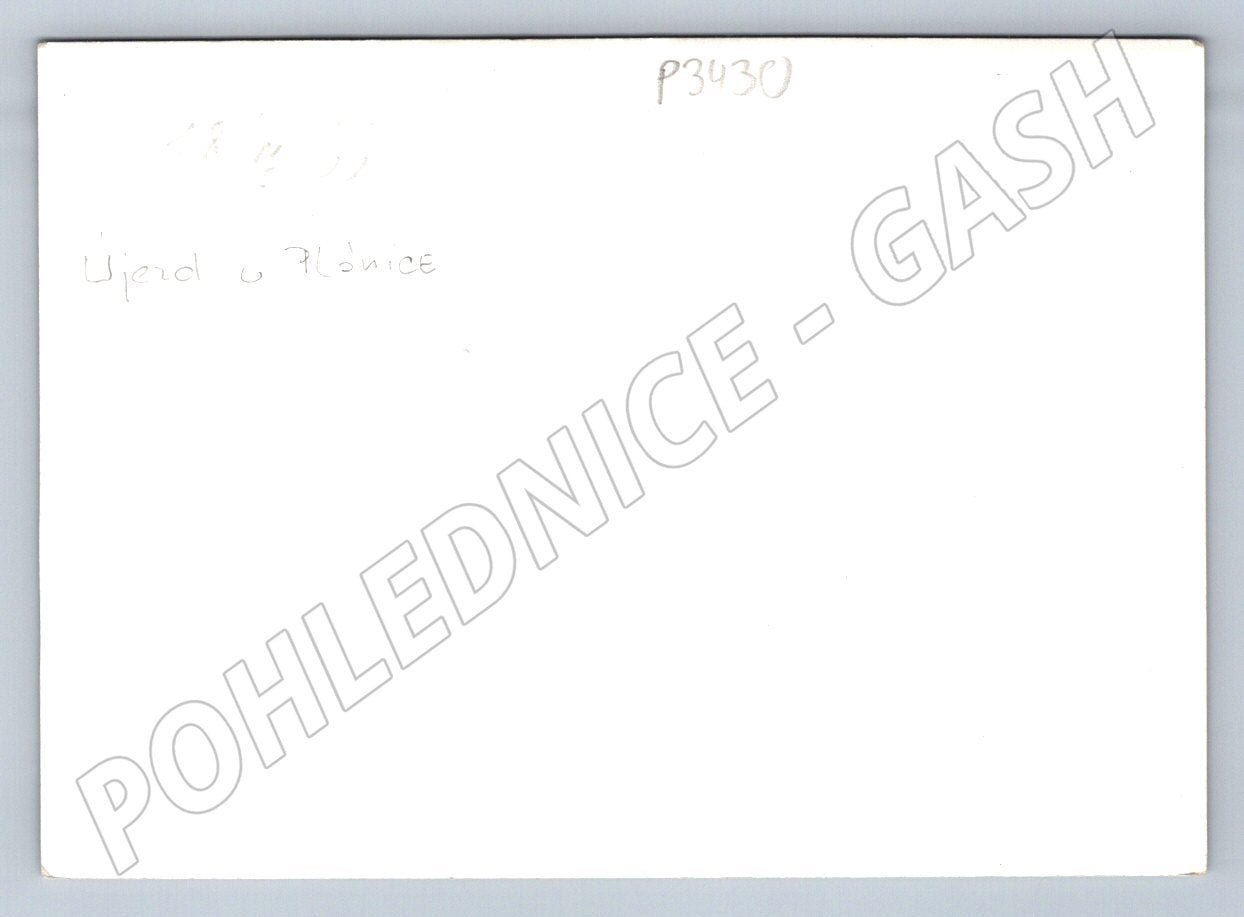 Stará fotografie Ujezd u plónice rodinná skupina (P3430)