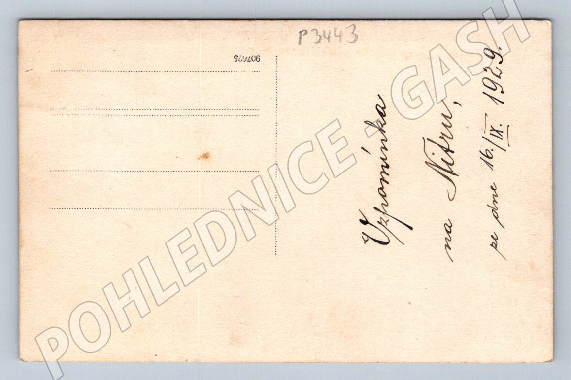 Pohlednice Slovensko Nitra skupina lidí koupání 1929 (P3443)