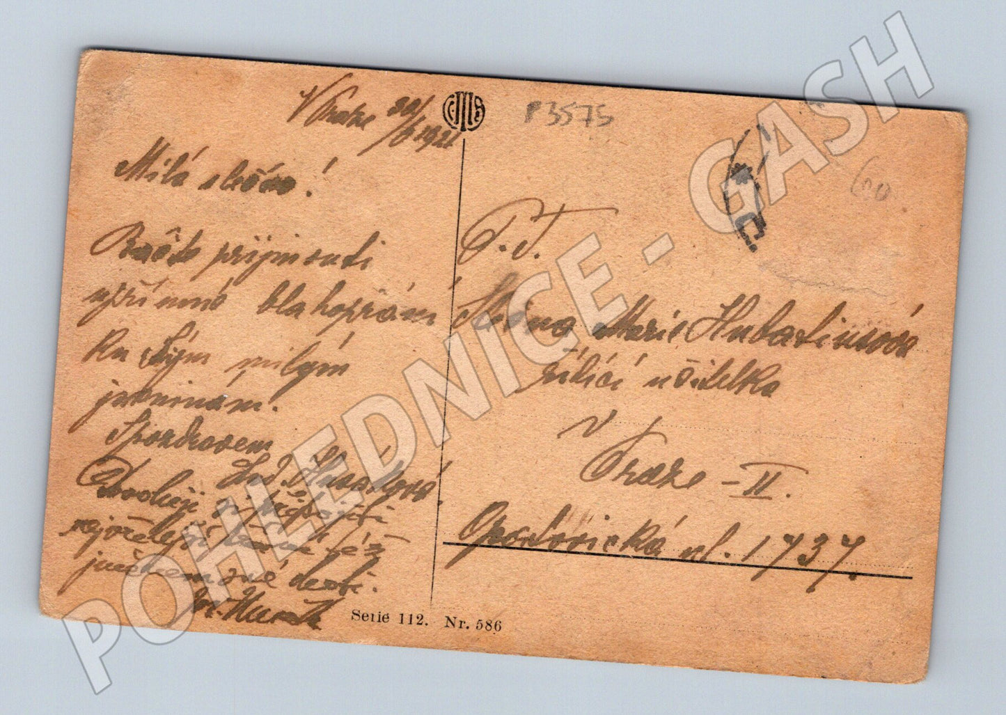 Pohlednice venkovská scéna žena děti 192X (P3575)