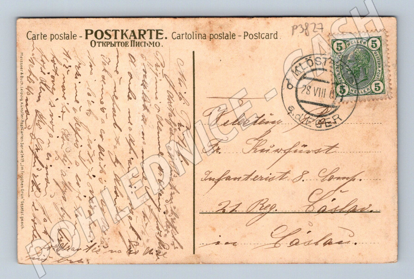 Pohlednice Rakousko krajina březový háj 1907 (P3827)