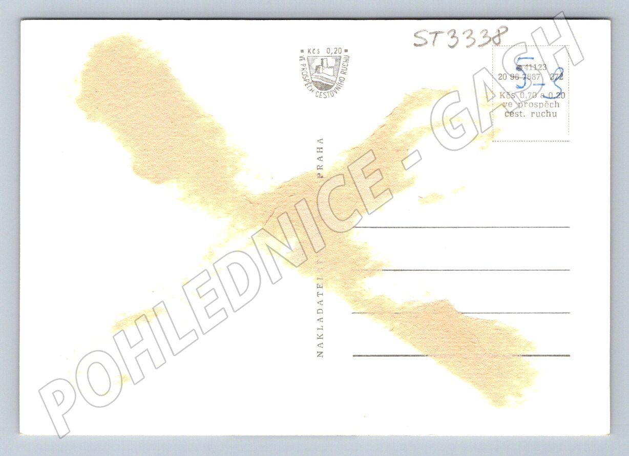 Postcard hippopotamus black and white small format until 1950 (ST3338)