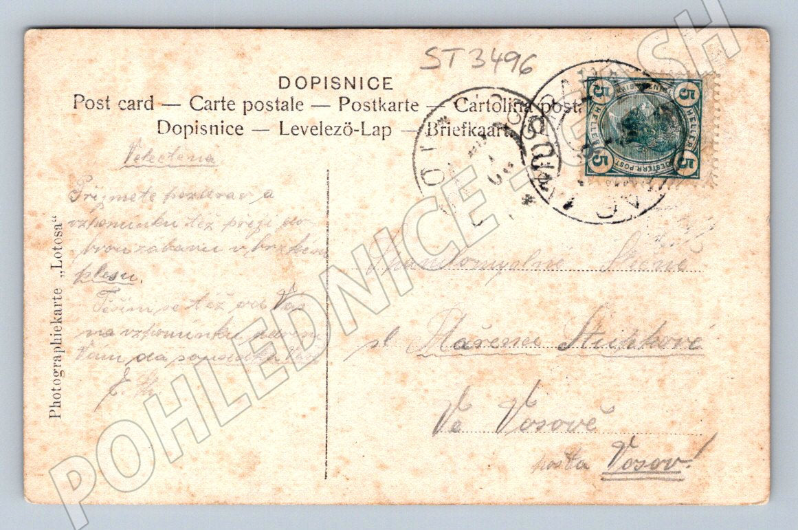 Pohlednice secesní žena s hrozny razítko a známka (ST3496)