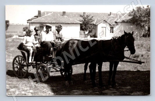 Pohlednice koňský povoz na venkově (ST3675)