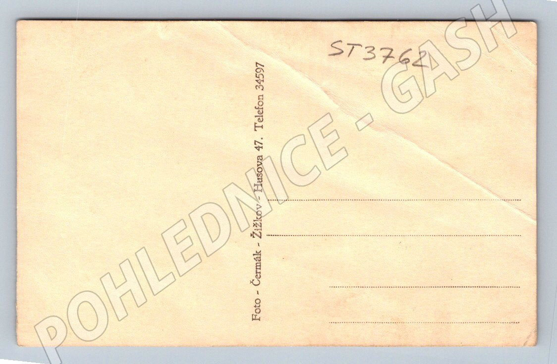 Postcard portrait of two people Photo Čermák Žižkov (ST3762)