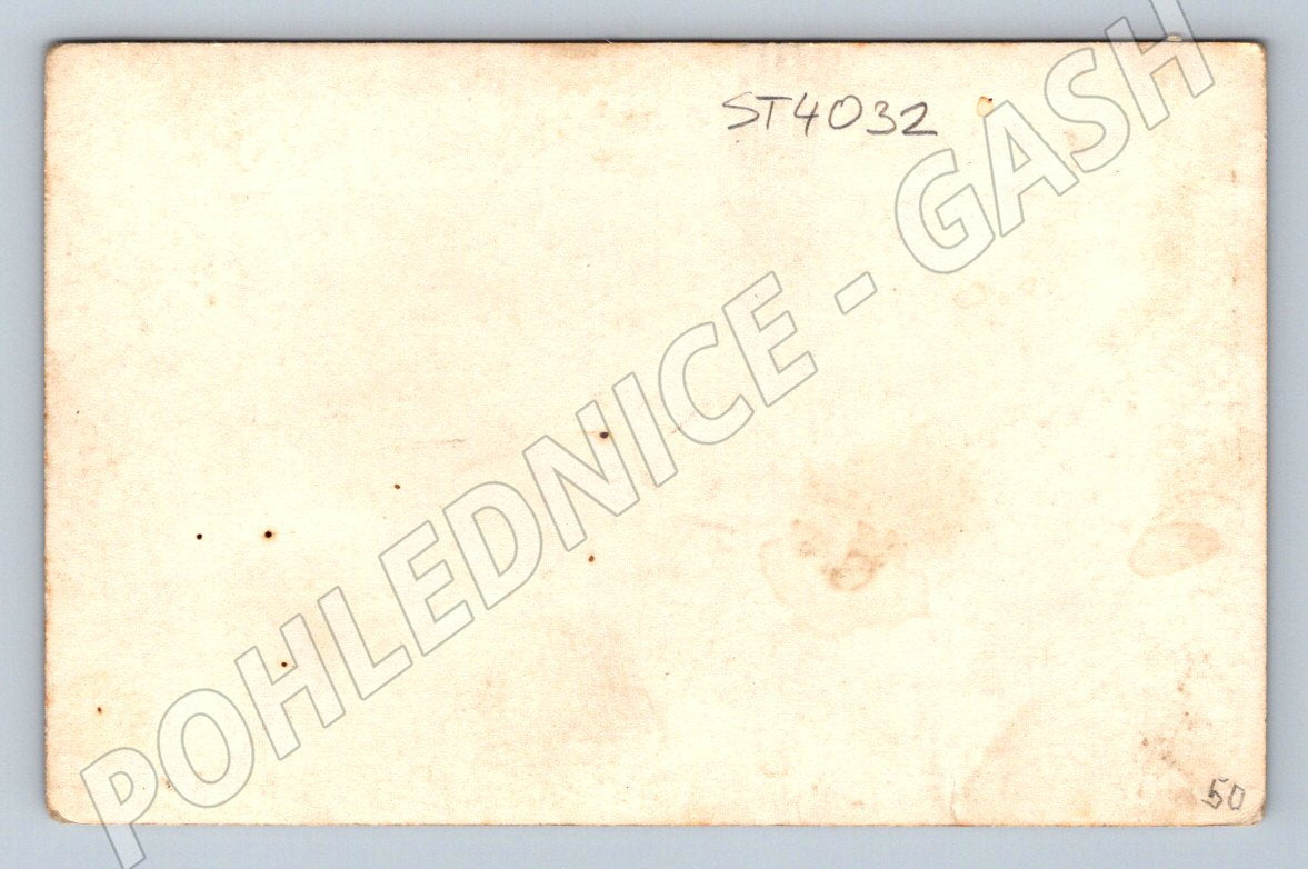 Postcard Polánka Cottage Nové Hrady (ST4032)