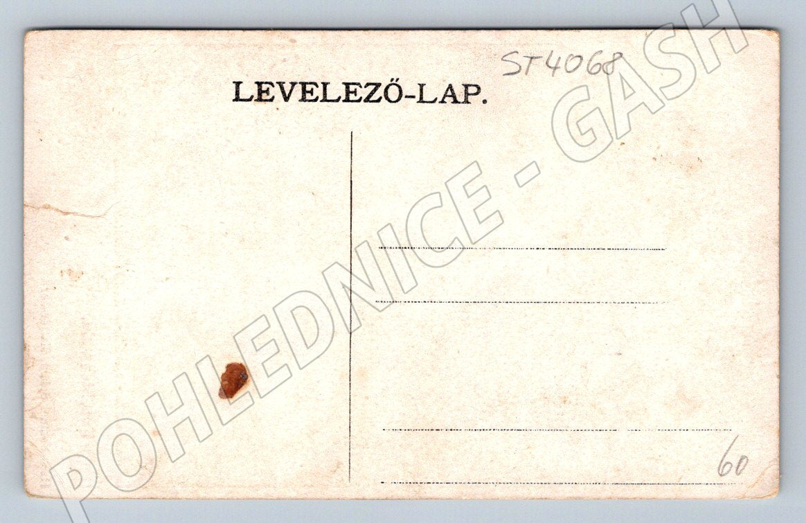 Postcard Forchtenstein Castle Austria (ST4068)