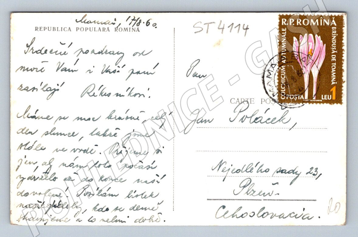 Pohlednice Mamaia Rumunsko restaurace 1966 (ST4114)