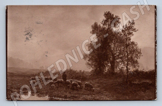 Pohlednice ovčák a stádo ovcí 1913 (ST4269)