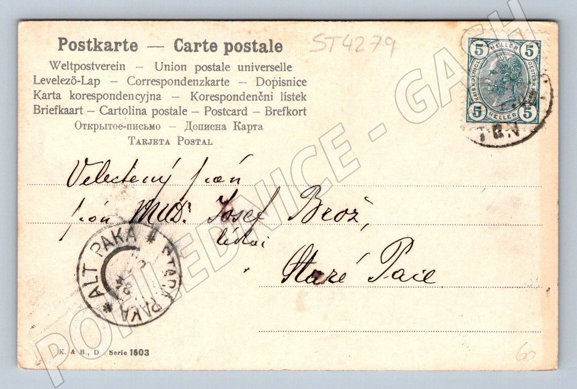 Pohlednice zátiší s ovocem 1905 (ST4279)