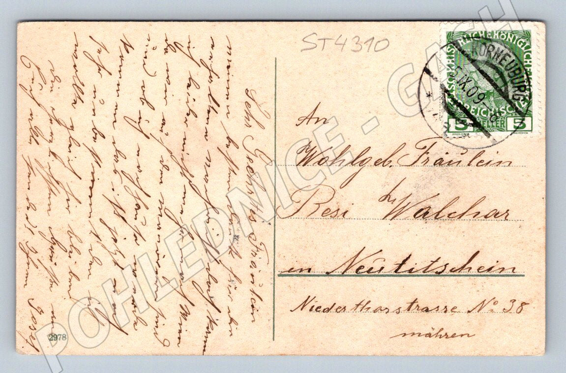 Postcard couple by the fence 1909 (ST4310)