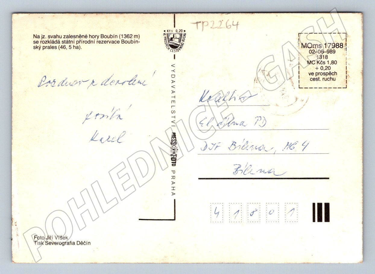 Pohlednice Boubínský prales krajina 1989 (TP2264)