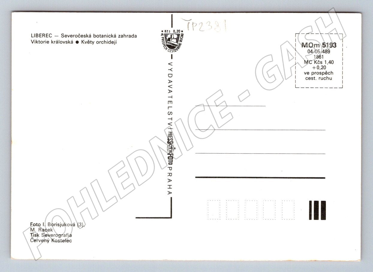 Pohlednice Liberec Botanická zahrada rostliny a květiny (TP2381)