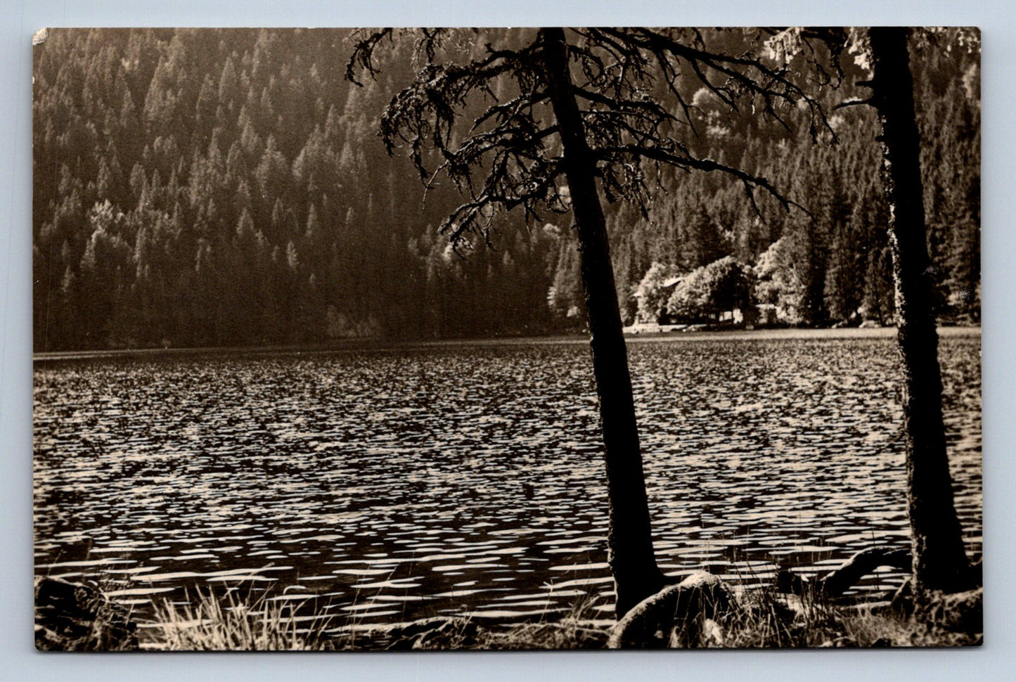 Postcard ŠUMAVA (X23730)