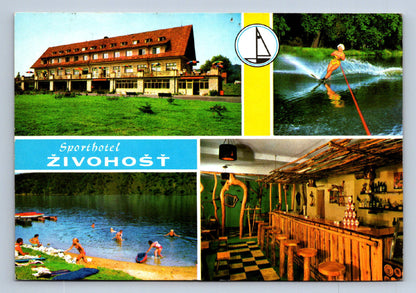 Postcard ŽIVOGOSŤ (X23741)
