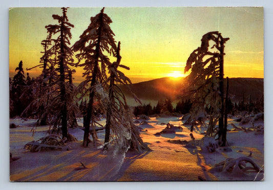 Postcard MERRY CHRISTMAS AND A HAPPY NEW YEAR (X23759)