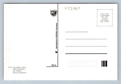 Postcard BERDEJOIV SPA (X23761)