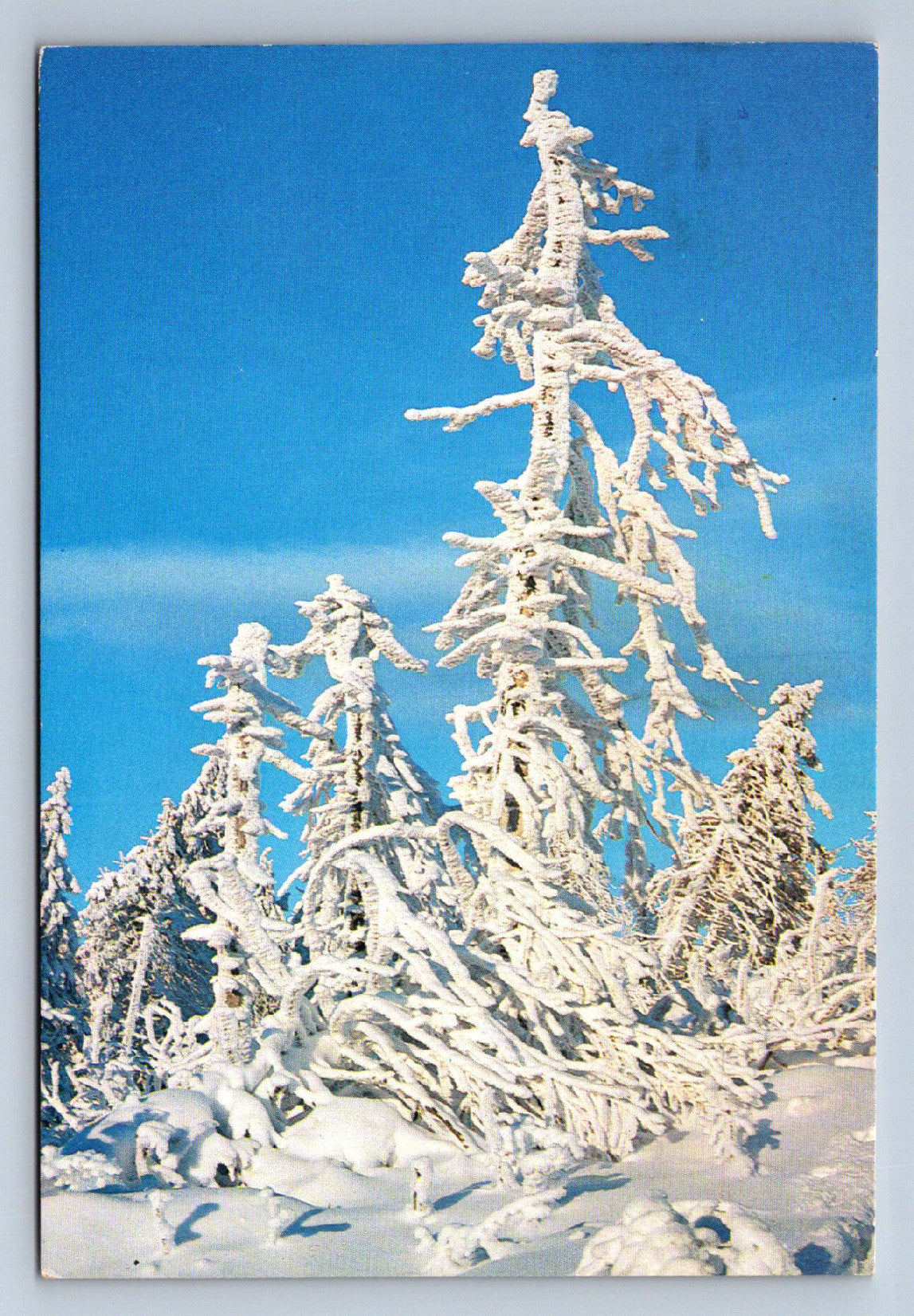 Pohlednice ZIMA (X23973)