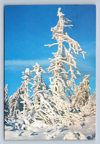 Pohlednice ZIMA (X23973)