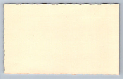 Pohlednice Otevírací Vánoční přání (JN1859)