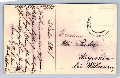 Pohlednice Růžový keř (JN1862)