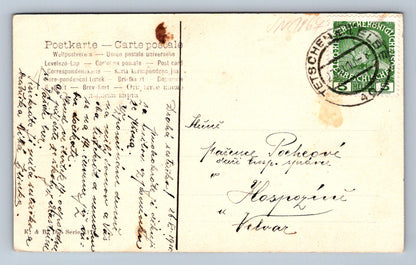 Pohlednice Kolorovaná pohlednice Stromy (JN1867)