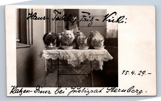 Pohlednice Kočky krmené z misek (JN1886)