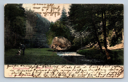 Pohlednice Příroda Kirnitzchthal Böhm Schweiz. (JN1916)