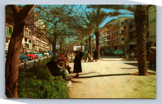 Pohlednice Tel Aviv Bothschild Boulevard (JN2422)