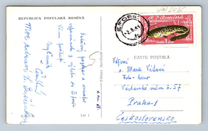 Pohlednice Eforie Vedere generala (JN2435)