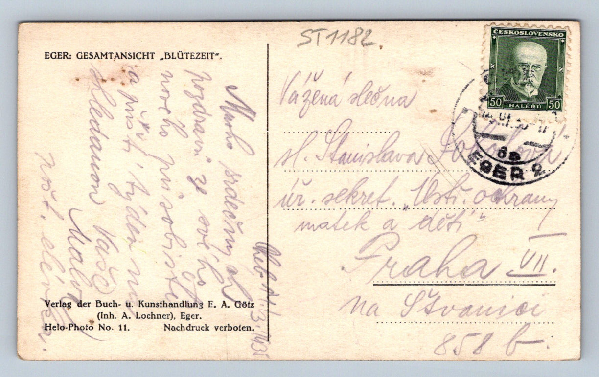 Pohlednice EGER - GESAMTANSICHT  BLÜTEZEIT  (ST1182)