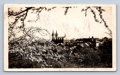 Pohlednice EGER - GESAMTANSICHT  BLÜTEZEIT  (ST1182)