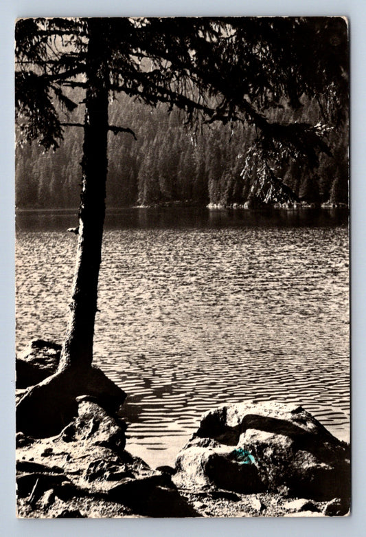 Pohlednice ŠUMAVA - ČERTOVO JEZERO (ST1255)