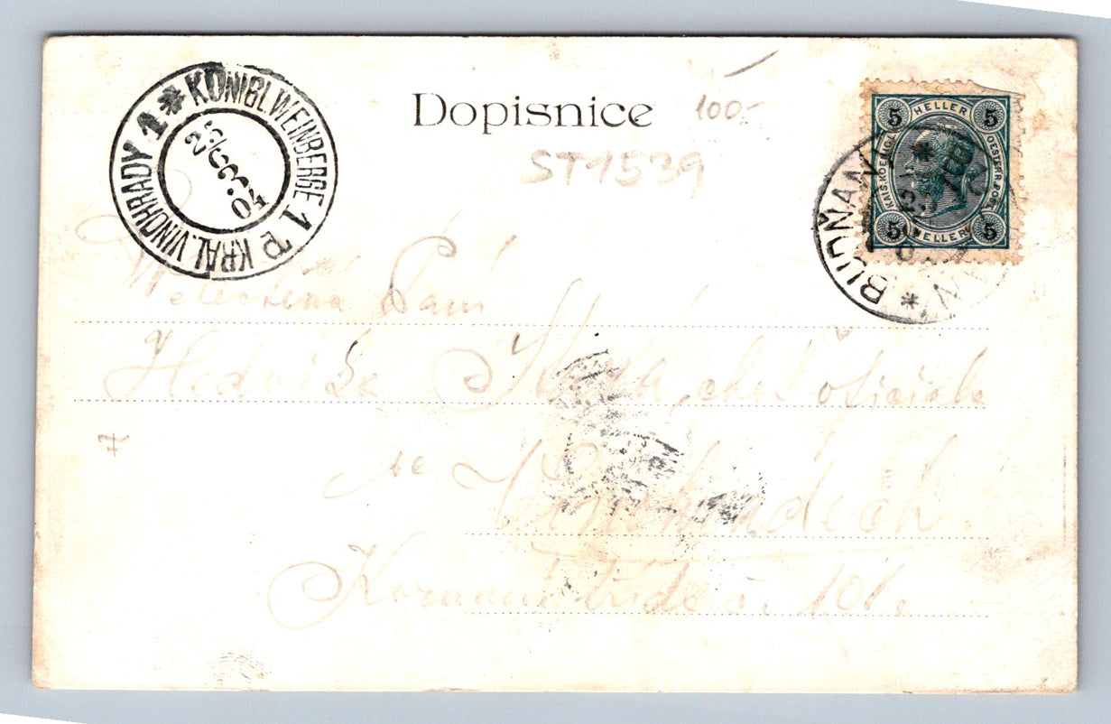 Pohlednice POZDRAV Z KARLOVA TÝNA (ST1539)