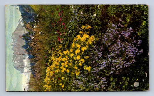 Pohlednice ANTHYLLIS ALPESTRIS - SATUREJA ALPINA (ST1653)