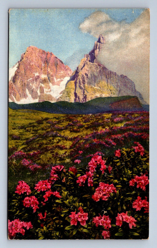 Pohlednice RHODODENDRON FERRUGINEUM (ST1654)