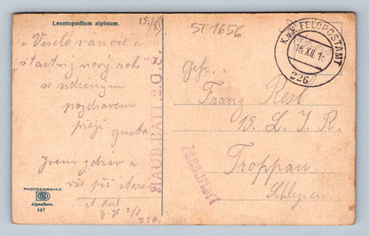 Pohlednice LEONTOPODIUM ALPINUM (ST1656)